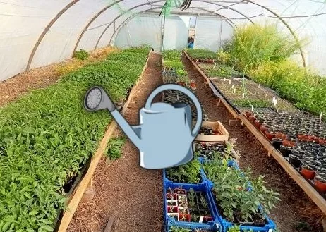 jardinons notre santé