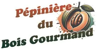 pépinière du bois gourmand